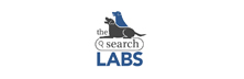 The Search Labs - Top Google Marketing Solutions Companies The Search Labs